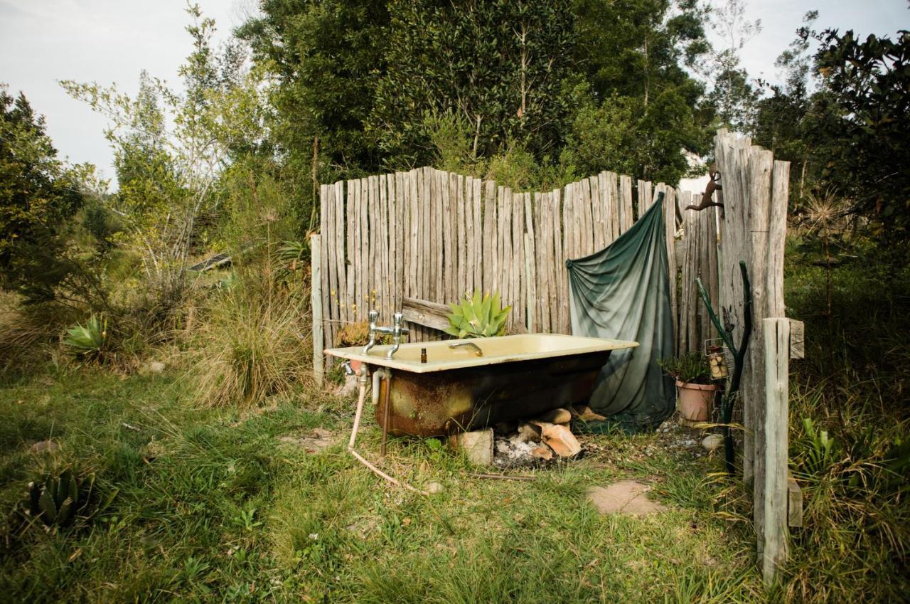 Forest Harmony Knysna Exterior foto